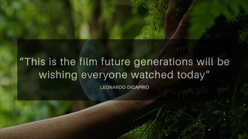 Eating Our Way To Extinction